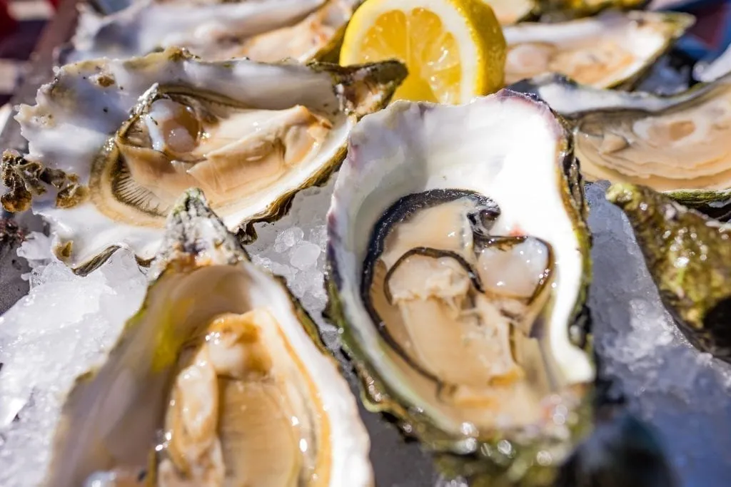 Close up photo of oysters on ice with lemon in Seattle WA, a must-try for seafood lovers during 3 days in Seattle WA