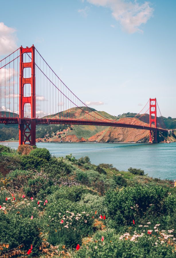 vertical photo of golden gate bridge with flowers in the foreground, an iconic attraction during a few days in san francisco