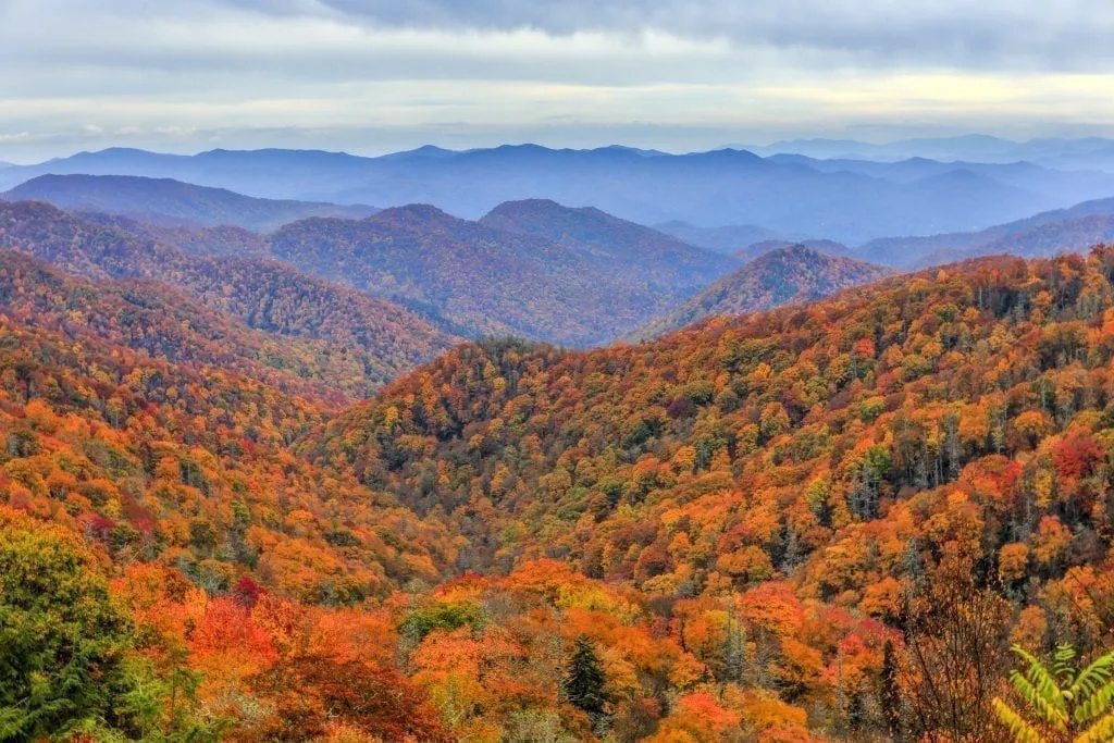 View of the Great Smoky Mountains during fall foliage season in the southern USA