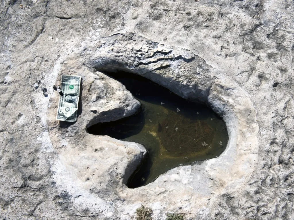 DInosaur Track in Texas