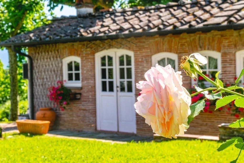 Small brick outbuilding in Tuscany with hite doors and a pink rose in the foreground, as seen on an Italy road trip