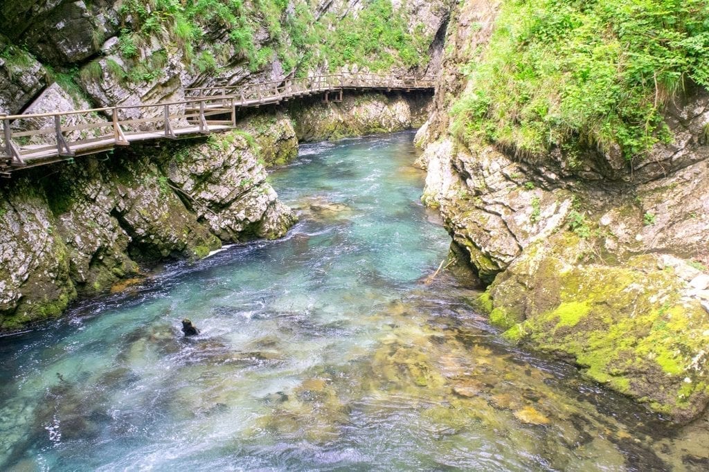 Vintgar Gorge in Slovenia with boardwalks visible on the left side of the photo