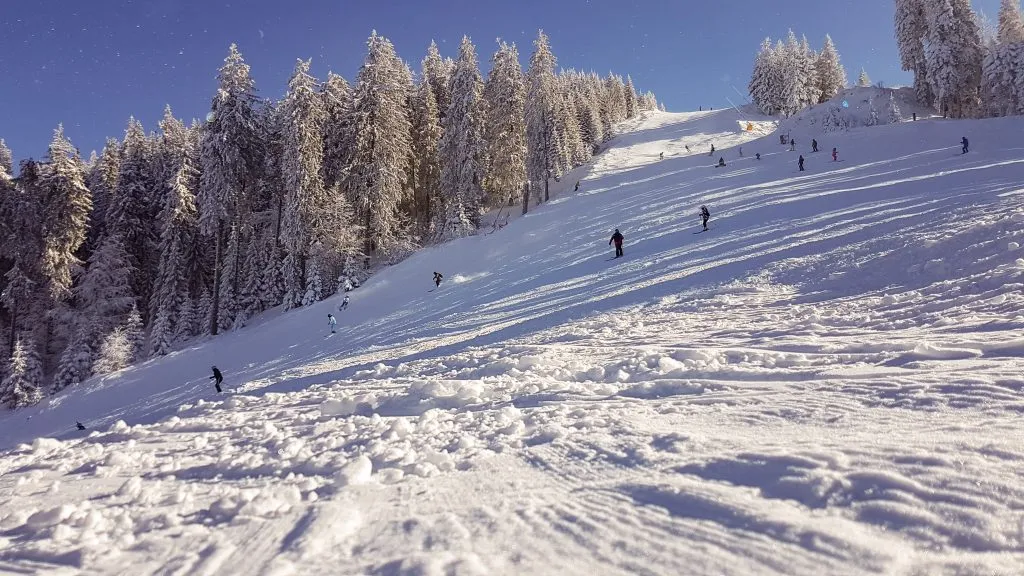 view looking up big mountain in whitefish montana with skiers coming down