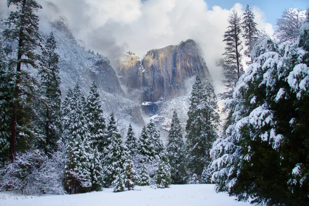 winter in yosemite national park with snow on the ground and evergreen trees, mountains visible in the distance