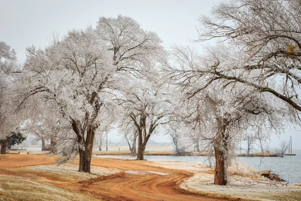 Lake Hefner in OKC after a snowstorm, with icicles in the trees