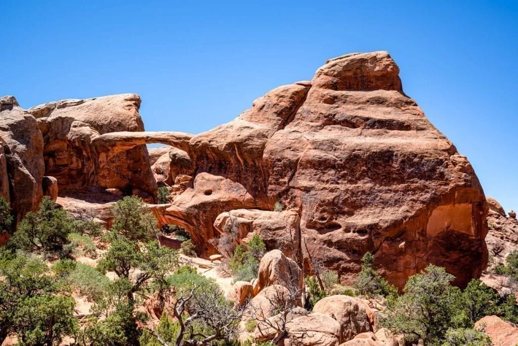 Double O Arch as seen from across a field of trees at the end of one of the best Arches National Park hikes