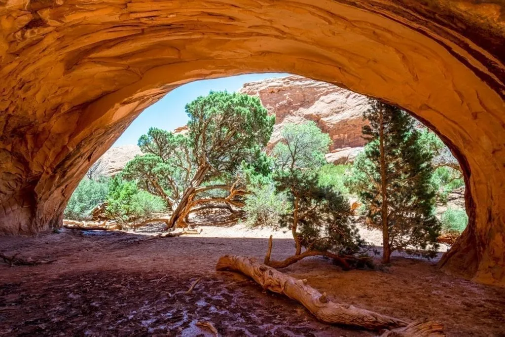 Navajo Arch in Arches National Park with trees visible through the arch