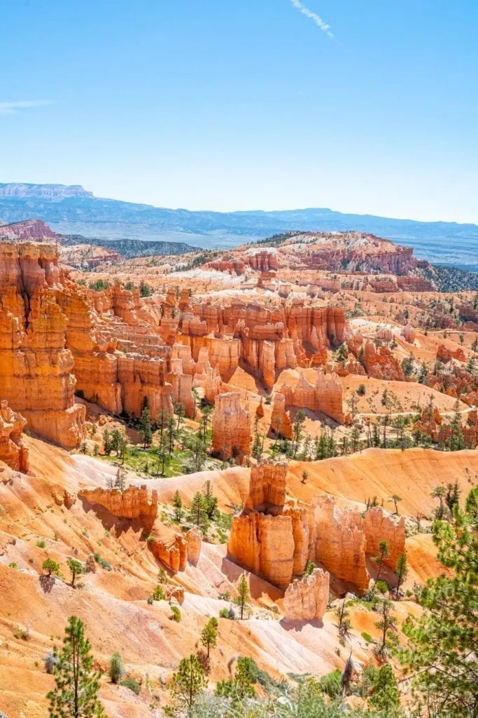 view of bryce canyon from above. utah's national parks make great us honeymoon destinations