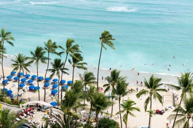 Waikiki Beach shot from above, with palm trees in the foreground and oceans in the background. Waikiki Beach is one of the best beaches in the USA
