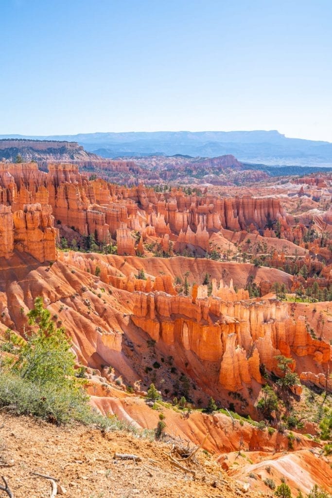 view of hoodoos in bryce canyon national park, an essential stop on many of the best road trips in southwest usa