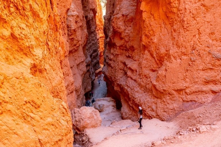 Kate Storm looking down into Wall Street Slot Canyon in Bryce Canyon, an unforgettable stop on a Utah road trip itinerary
