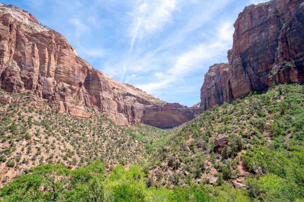 View along the canyon overlook hiking trail in zion national park