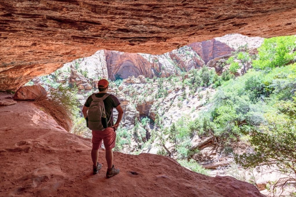 Jeremy Storm standing in a cave in Zion NP overlooking a grove of trees