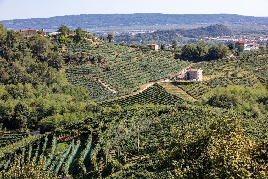 the prosecco region of italy with sprawling vineyards