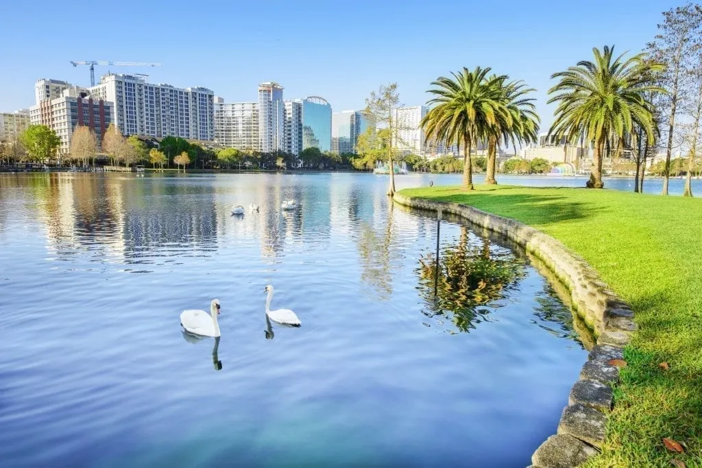 Lake Eola Park in Orlando Florida with swams in the water and a skyline visible in the background. Orlando belongs on a bucket list for the United States