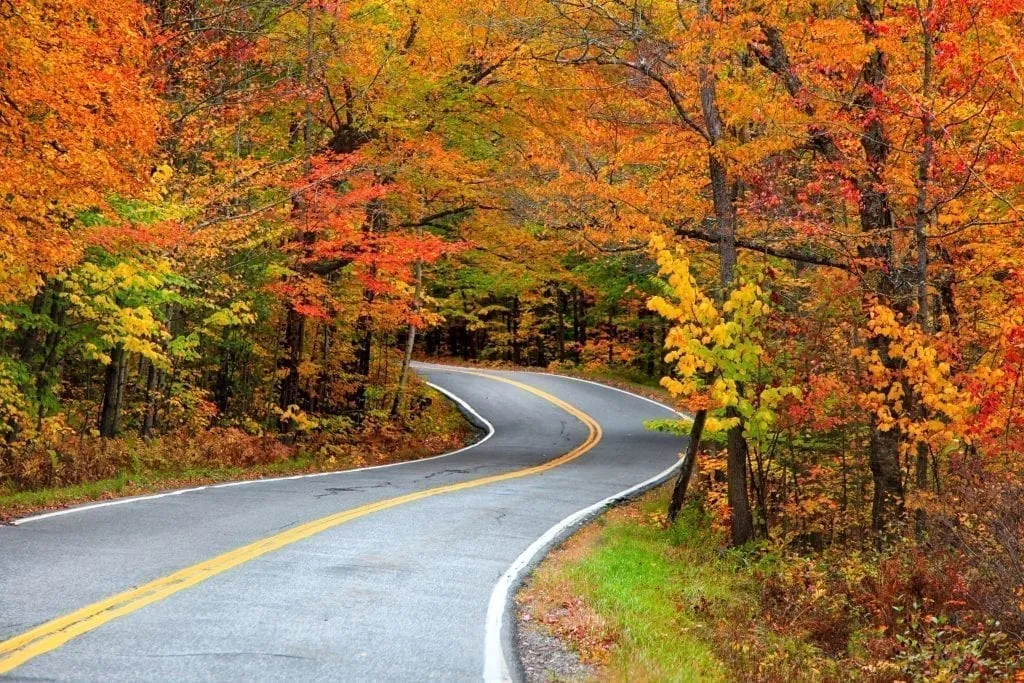 Curving road surrounded by fall foliage in New England, as you'll see during fall road trips from Boston MA!