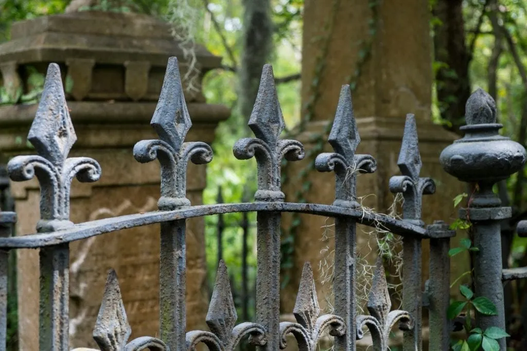Wrought iron fence in front of a cemetery in Charleston