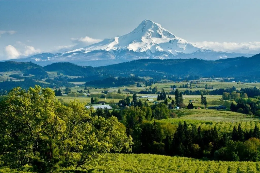 Mount Hood Oregon with wine country in the foreground