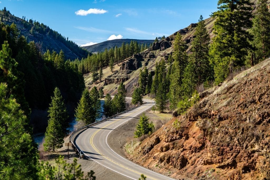 road in the mountains of northeast oregon lined with evergreen trees as seen from above