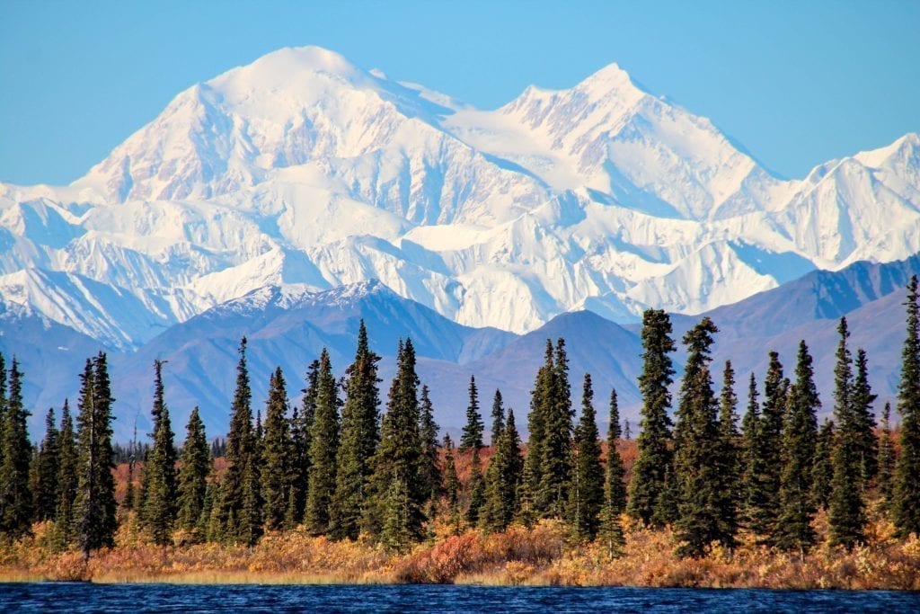 Snowcapped mountain in Denali National Park with evergreen trees in the foreground. Alaska is a bucket list us west coast road trip itinerary