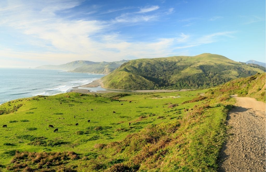 rolling green hills with the ocean in the distance with the pacific ocean in the background on california's lost coast, one of the best us west road trip ideas