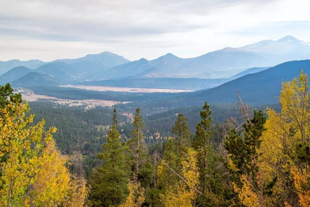 mountain view from trail ridge road in rocky mountain national park with fall foliage in the foreground