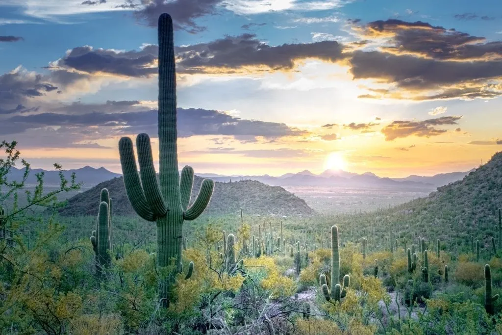 saguaro national park at sunset, one of the best usa national parks to visit december january february