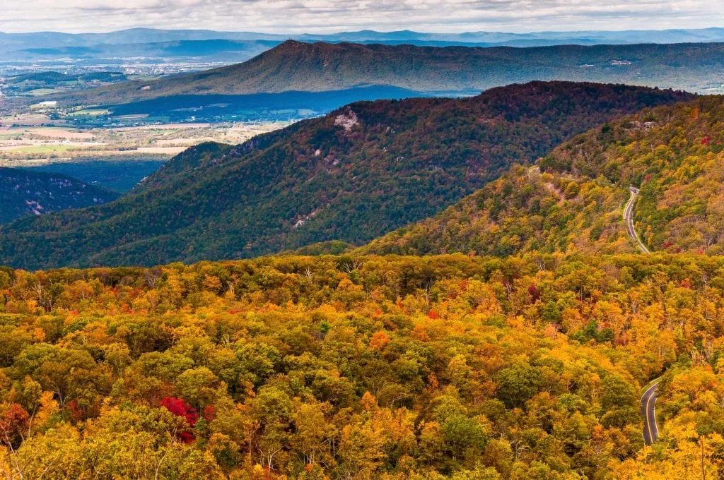 view of shenandoah national park from above during fall foliage season. a small section of skyline drive is visible on the right