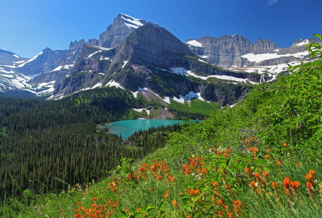 glacier national park in the summer, one of the best national parks in america. there are wildflowers in the foreground, a turquoise lake in the center, and mountains in the background