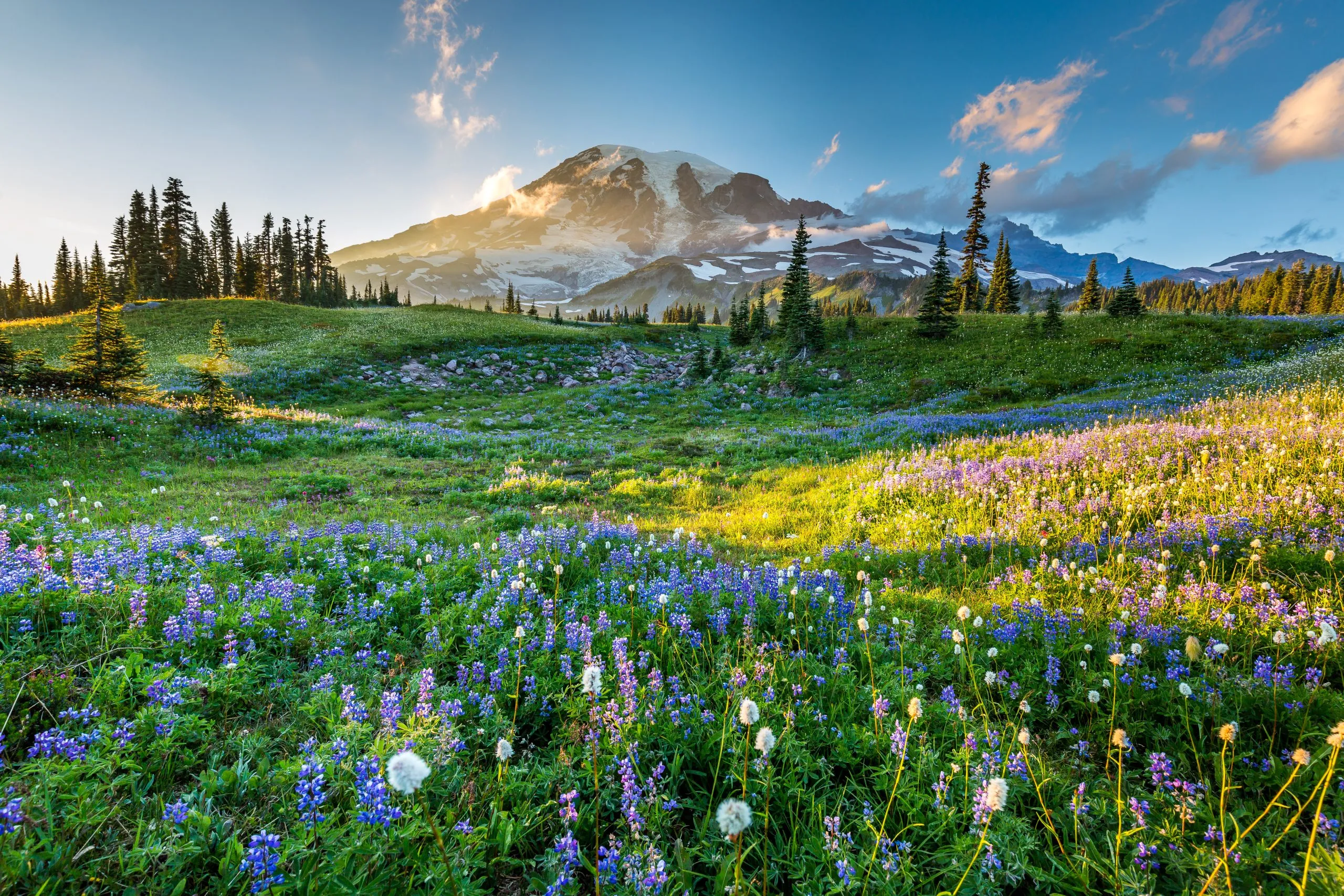 national parks to visit in summer in usa