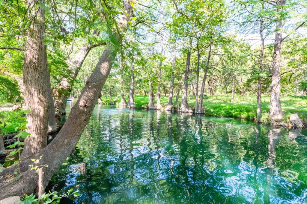 cypress creek blue hole in wimberley texas, one of the best american small towns to visit