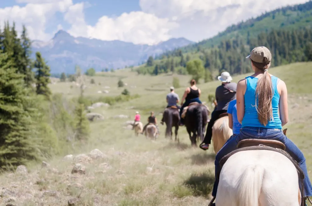 group of trail horseback riders in colorado mountains, woman in the foreground riding a white horse