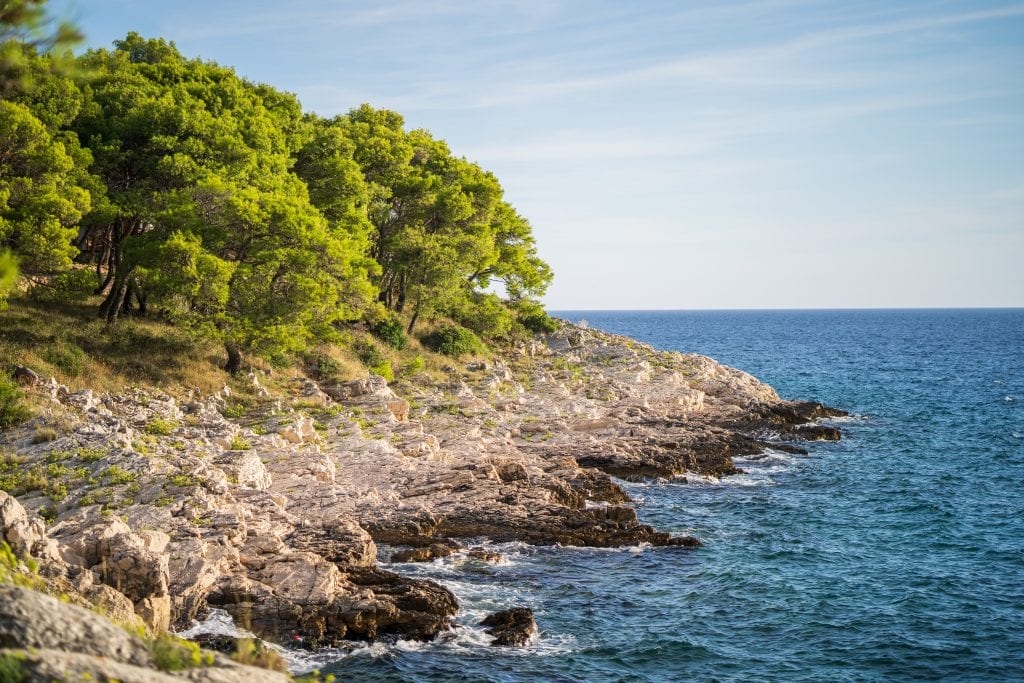 rocky coast of obonjan croatia with trees to the left