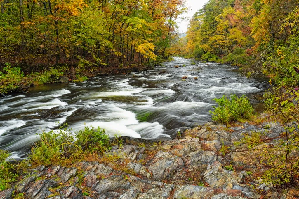 flowing river in beavers bend state park surrounded by fall foliage
