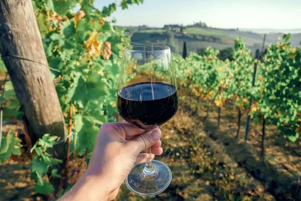 glass of red wine being held up in front of grape vines during a wine tasting in tuscany, a european bucket list travel experience