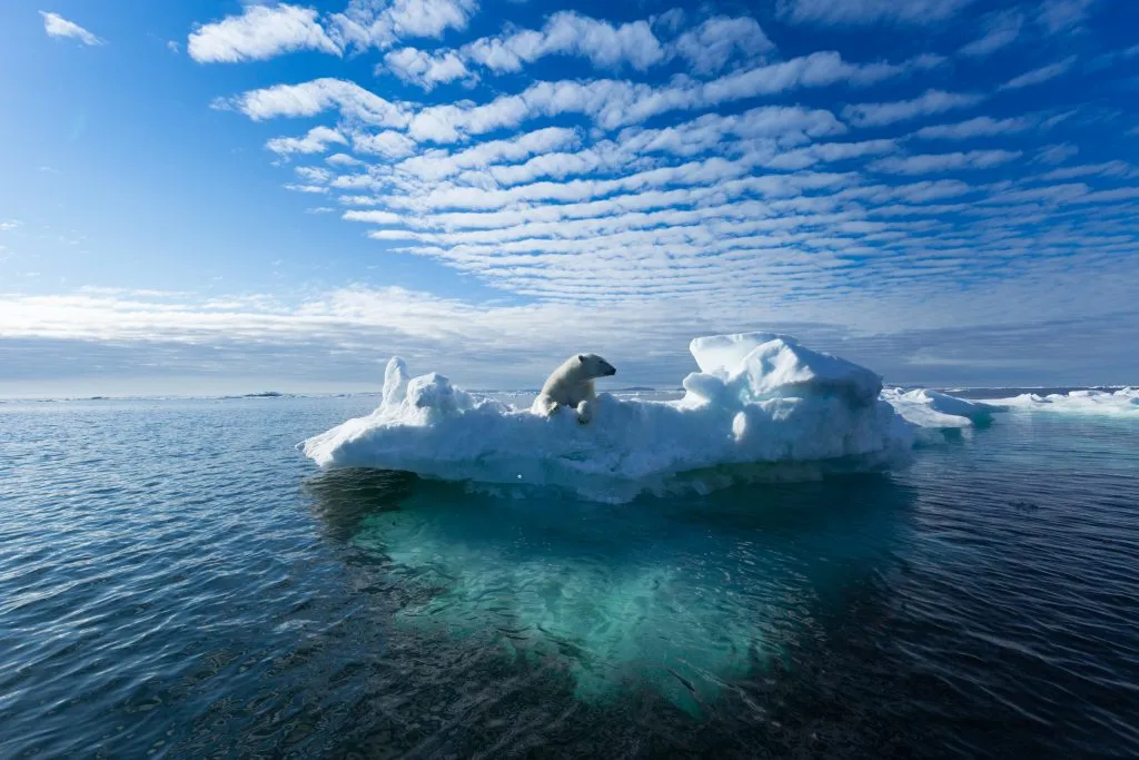 polar bear sitting on a frozen piece of glacier in svalbard norway, one of the best bucket list europe travel destinations