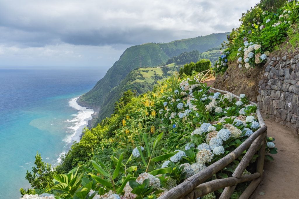 view of cliffside hiking trail in azores lined with hydrangeas. the azores are a europe bucket list destination