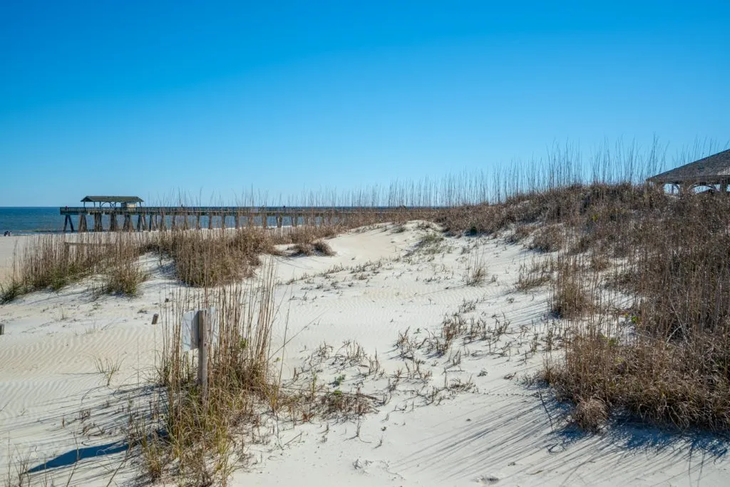 beach of tybee island georgia as seen across the dunes, one of the best savannah day trip ideas