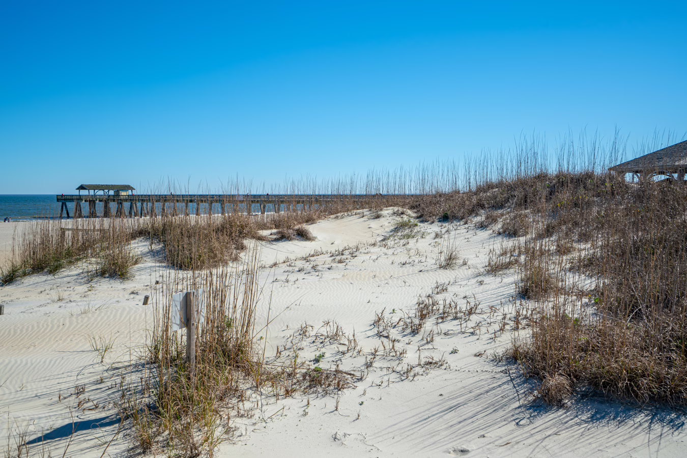 13 Terrific Things to Do on Tybee Island, GA (+ Nearby!)