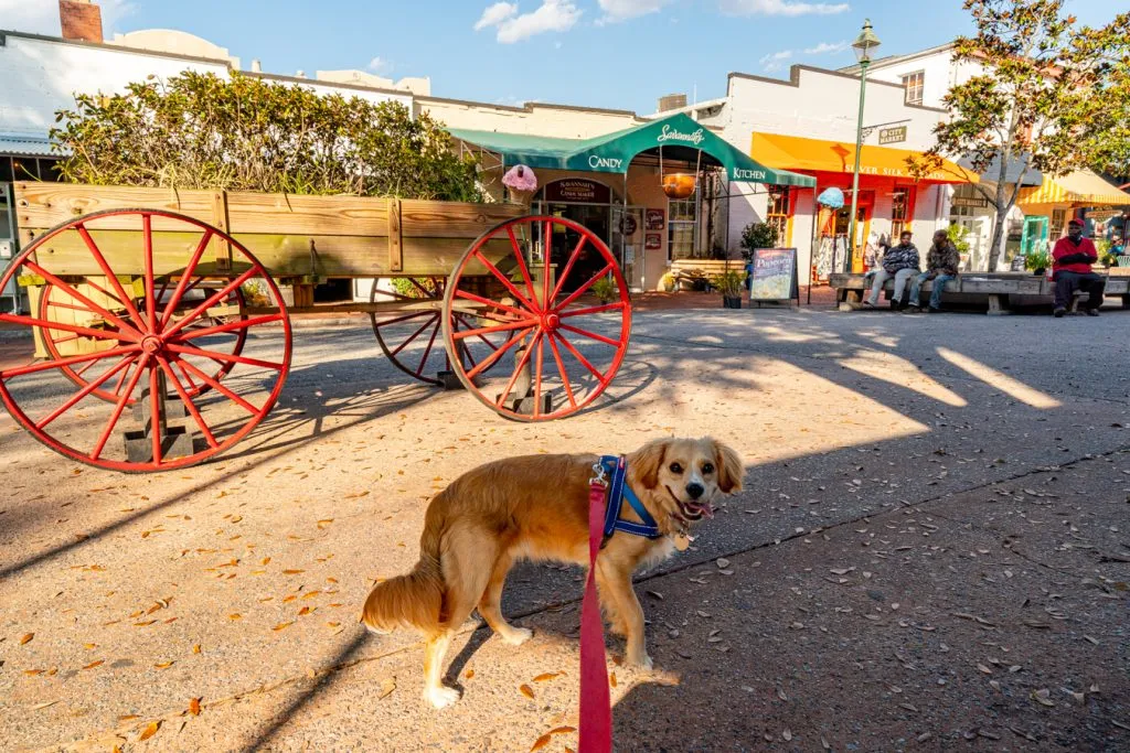 ranger storm standing in front of city market during a day in savannah georgia