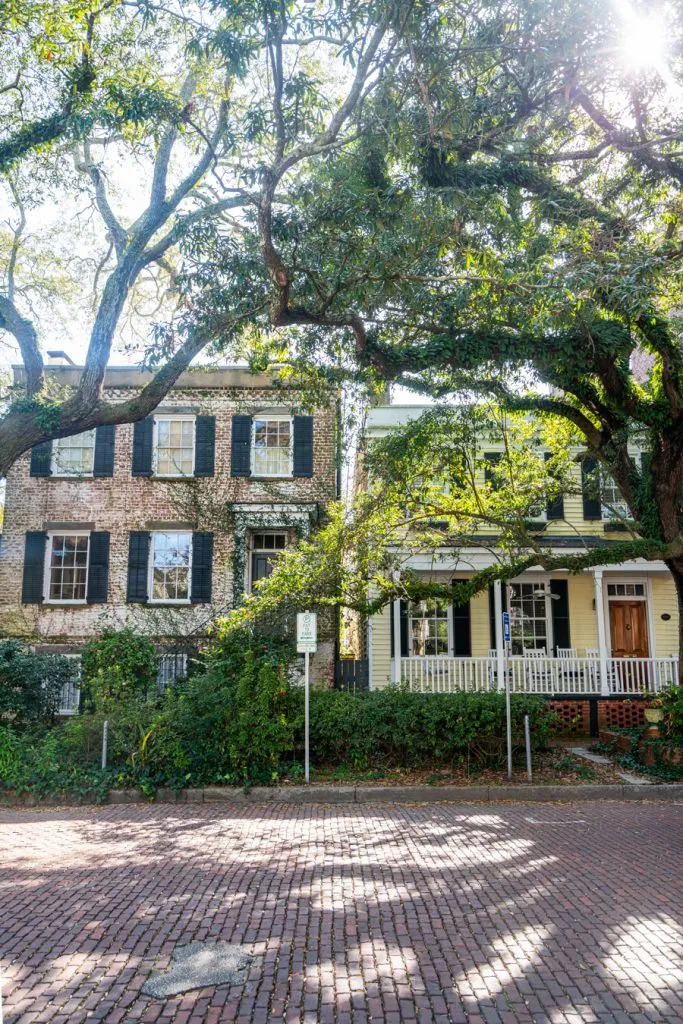historic homes surrounded by oak trees on one of the most beautiful savannah streets