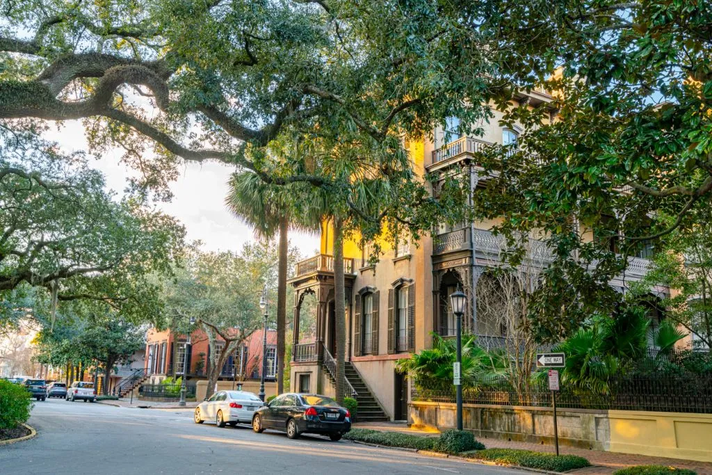 one of the prettiest streets in savannah ga as seen at golden hour