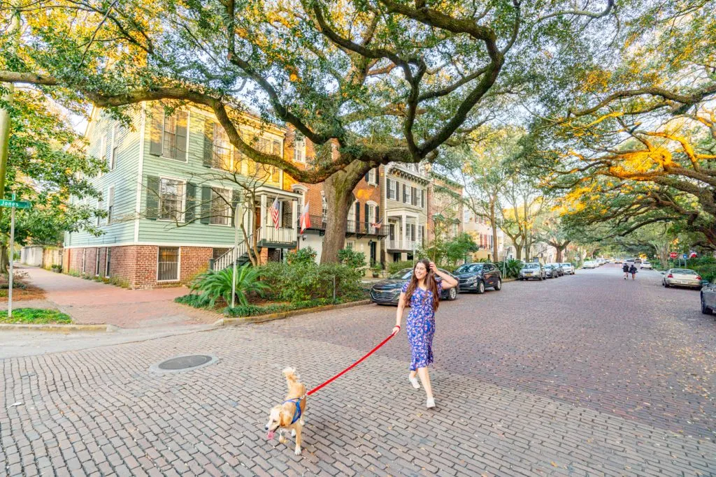 Kate Storm and Ranger Storm on Jones Street, one of the best places to take pictures in savannah ga