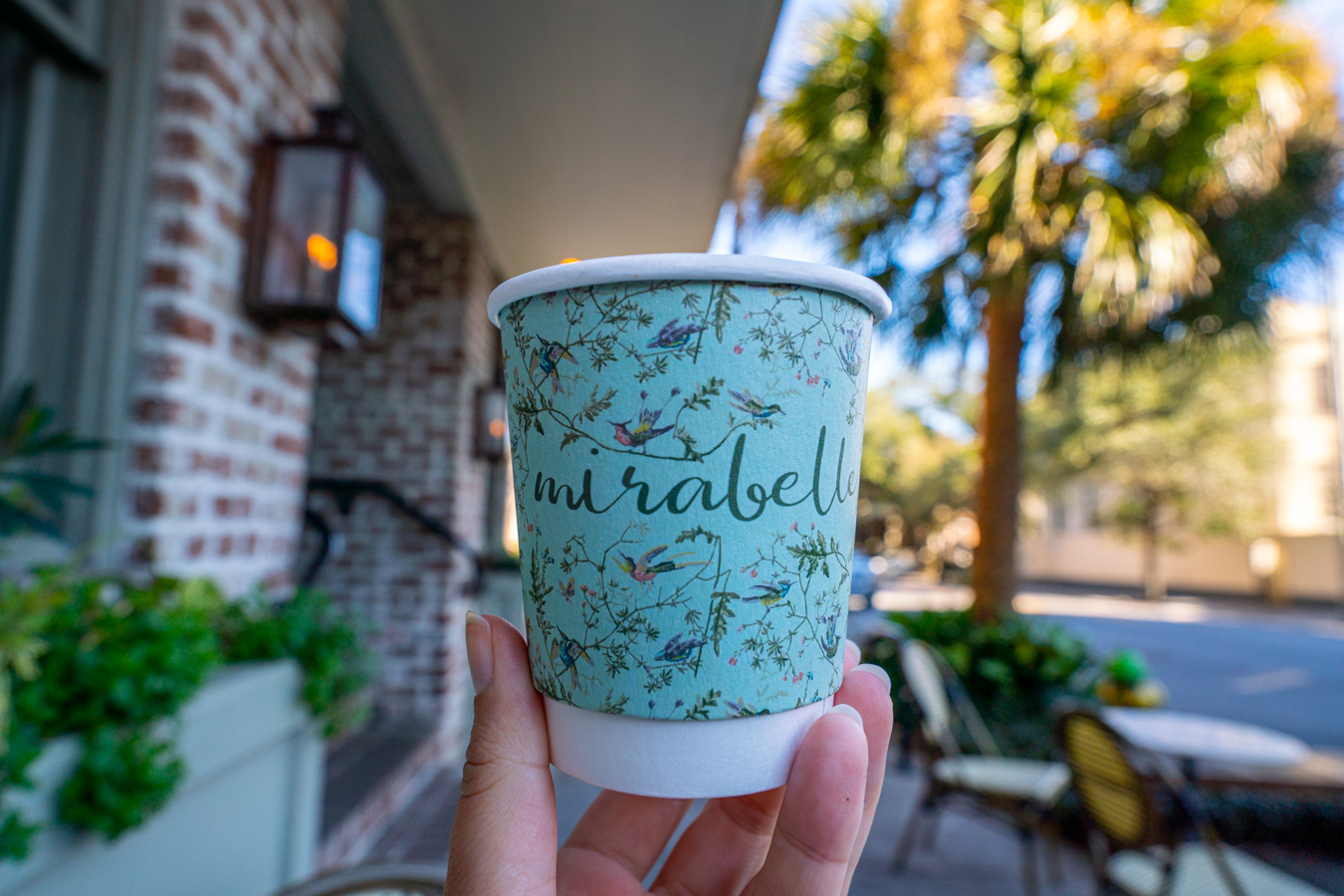 14 Cool Savannah Coffee Shops for Caffeine Lovers Our Escape Clause