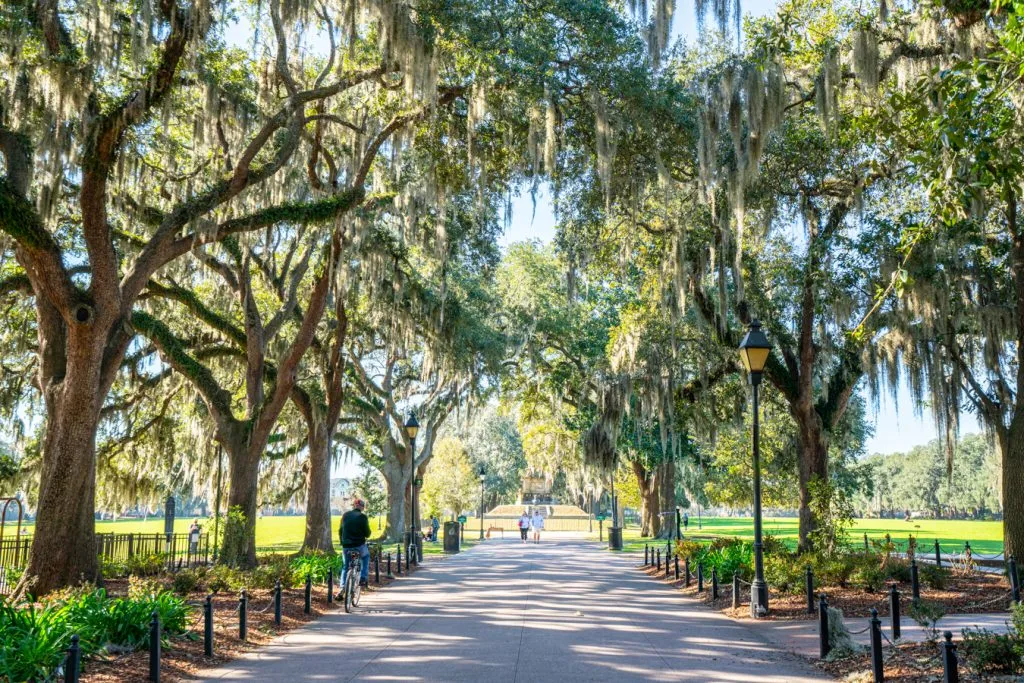 path lined with oak trees and spanish moss in forsyth park savannah ga in 3 days