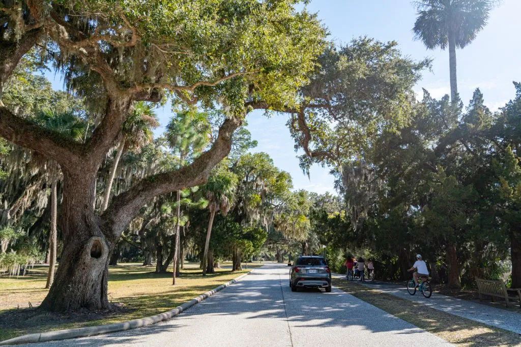 paved road in national landmark historic district of jekyll island