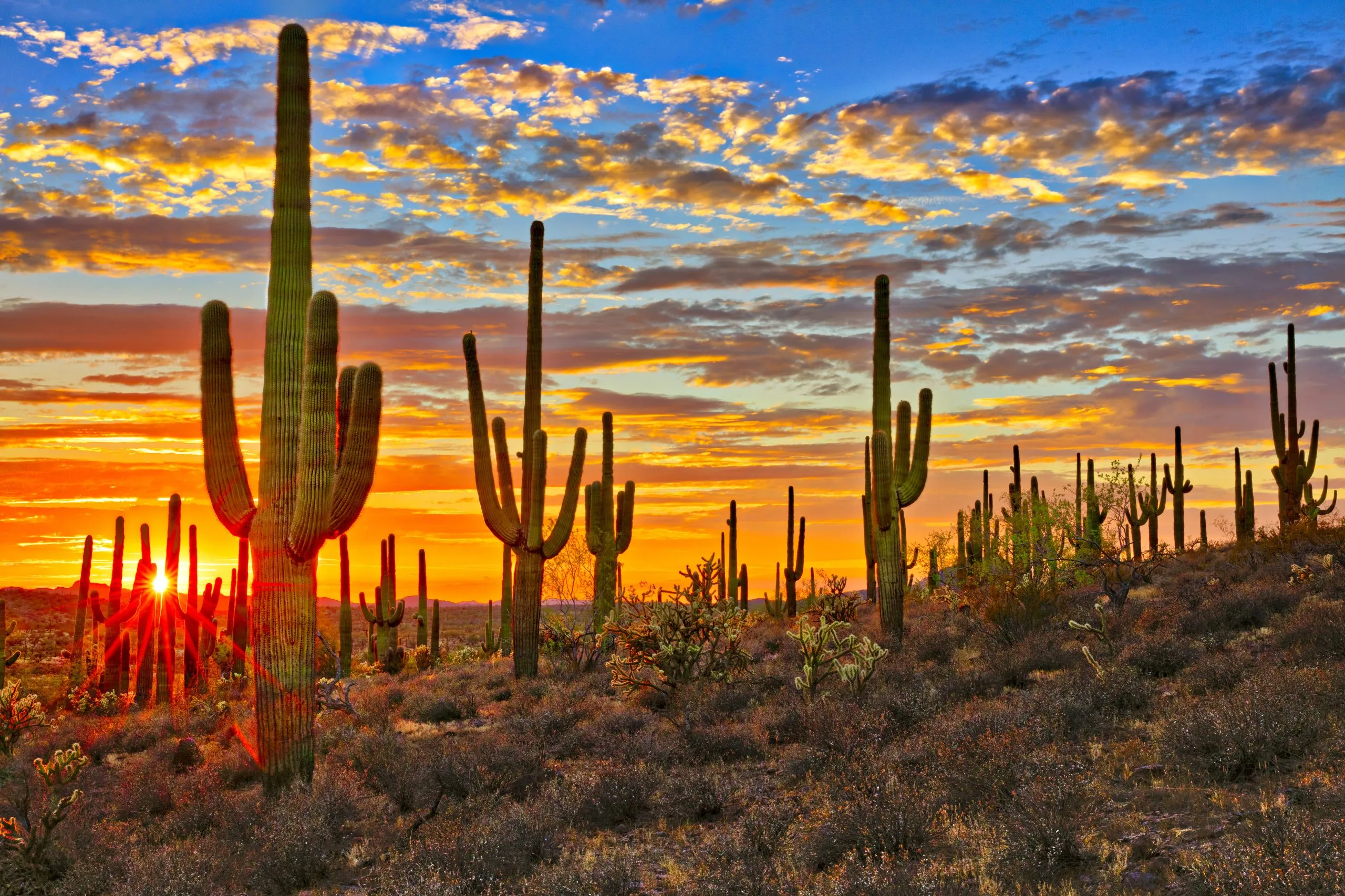 AZ Bucket List: 21 Best Places to Visit in Arizona - Our Escape Clause