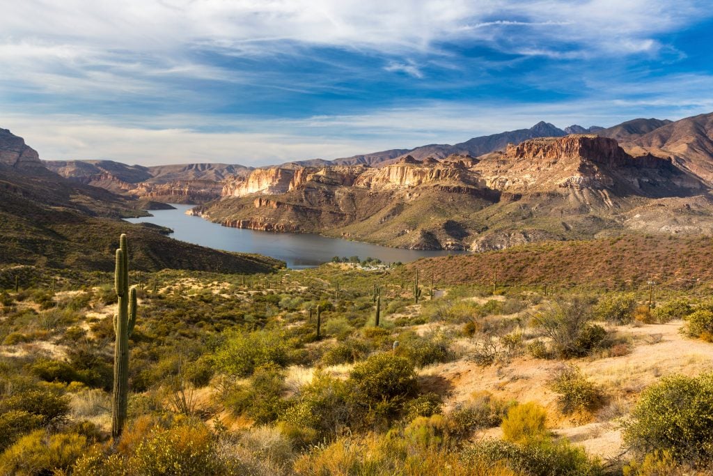 view along the historic apache trail, one of the best places to visit in arizona, with cacti in the foreground and a lake in the background