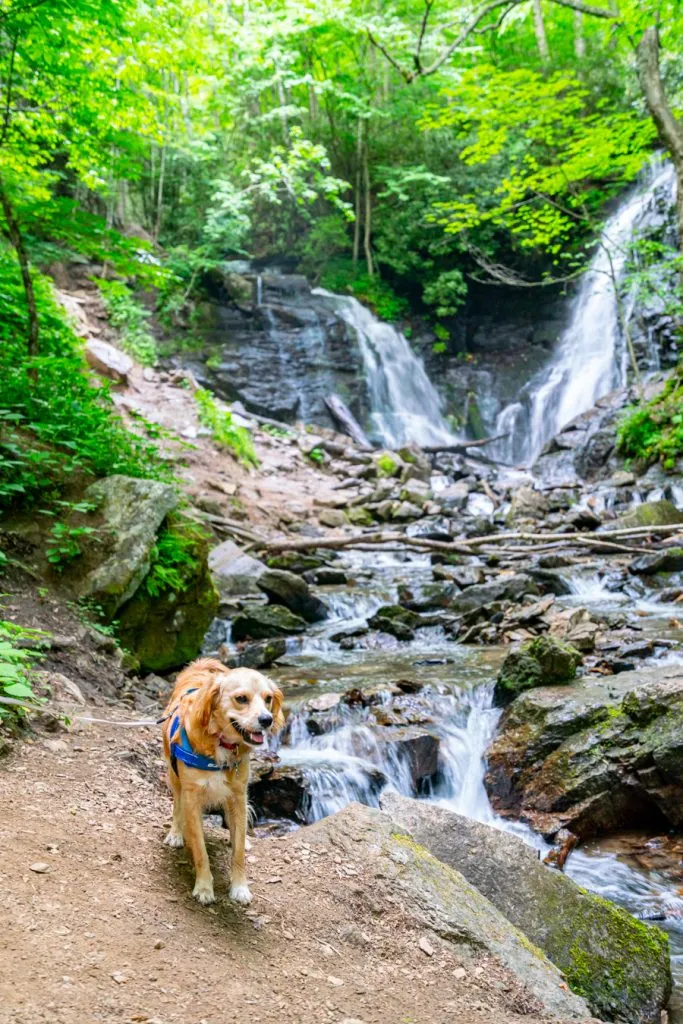 ranger storm in front of soco falls near maggie valley nc