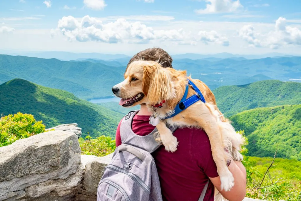 jeremy storm and ranger storm at craggy pinnacle blue ridge parkway